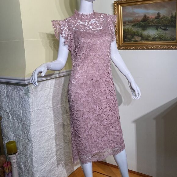 En Focus Pink Lace Sheath Dress - Picture 3 of 13